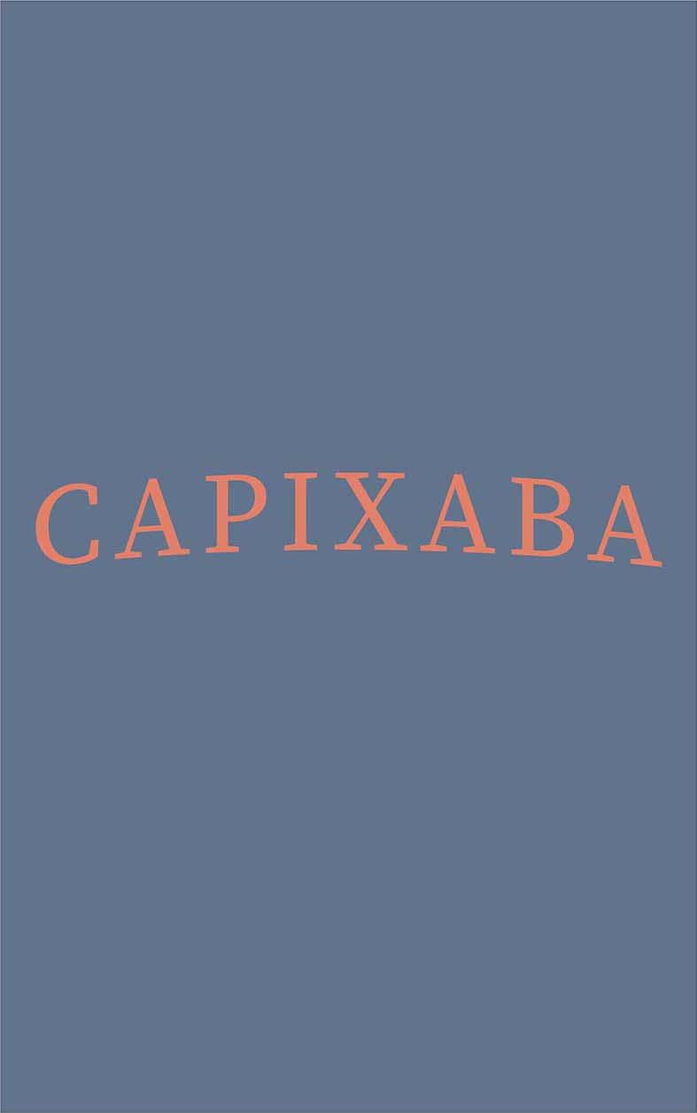 Camiseta Capixaba Azul Marinho