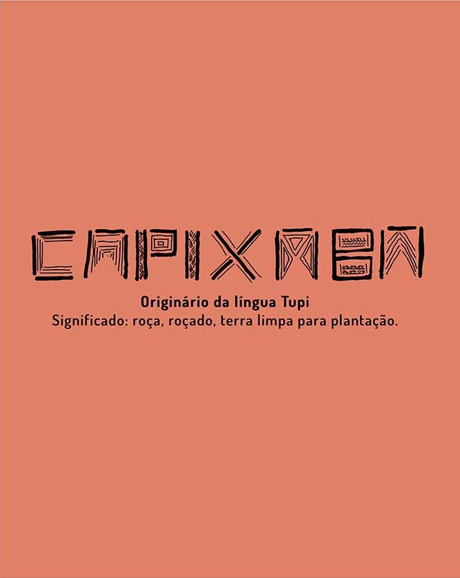 Regata Capixaba Tupi