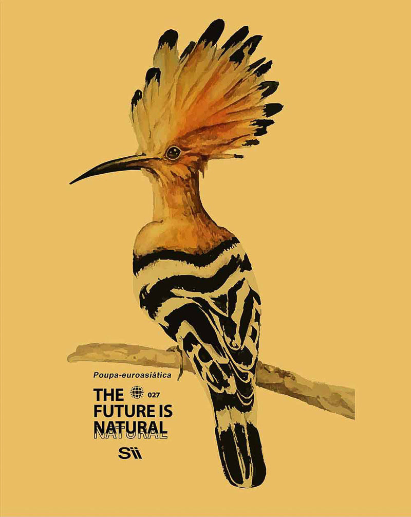 Camiseta Poupa-Euroasiatica