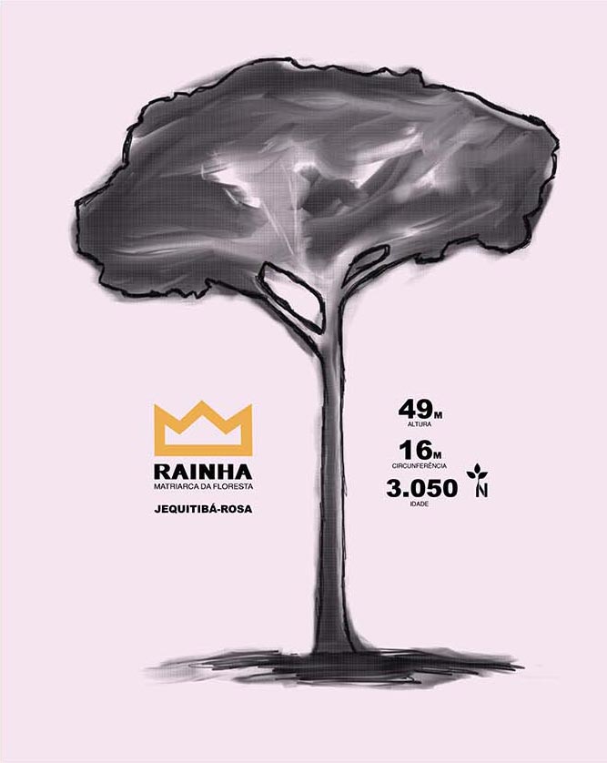 Regata Machao Matriarca