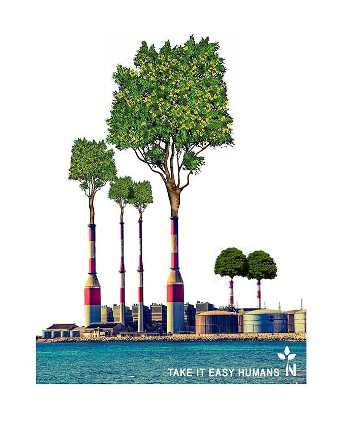 Regata Natural Industry