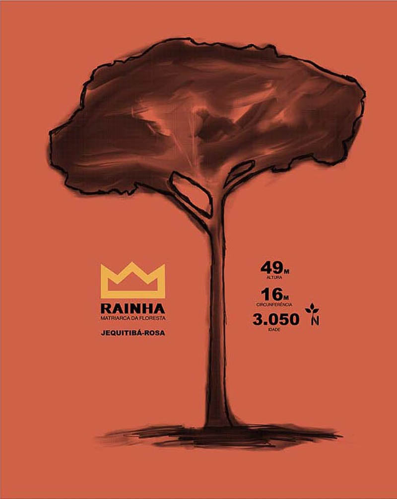 Regata Machao Matriarca