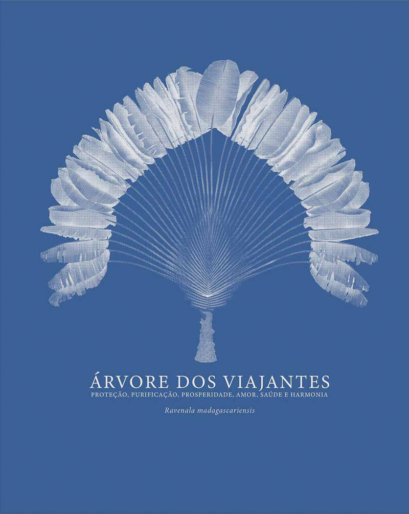 Regata arvore da vida