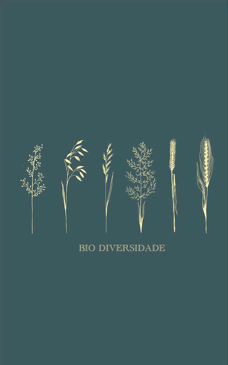 Regata Bio Diversidade Verde