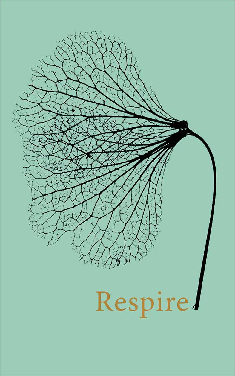 Regata Respire Verde Agua