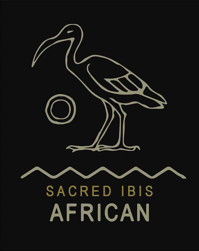 Camiseta Sacred Ibis