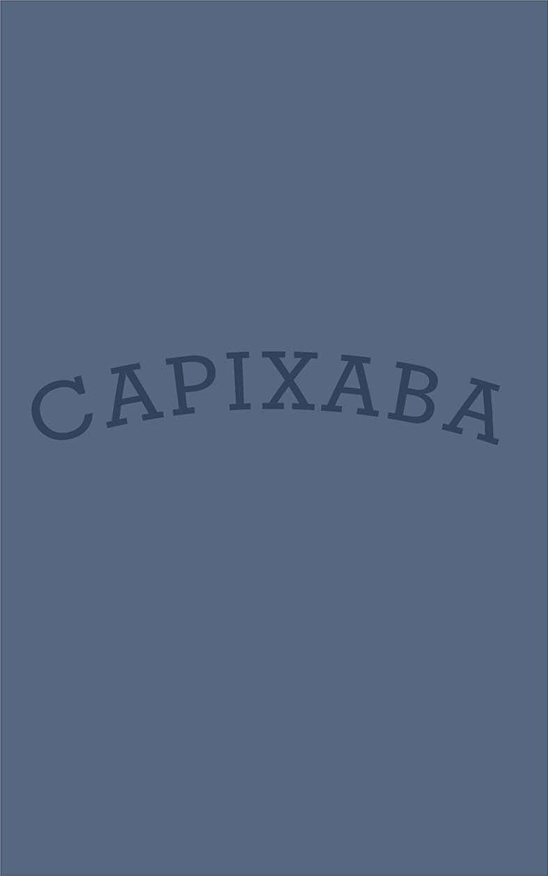 Camiseta Capixaba Arco
