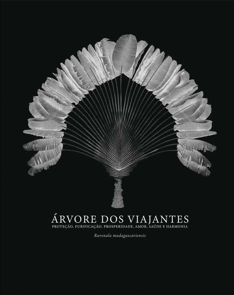 Regata arvore da vida