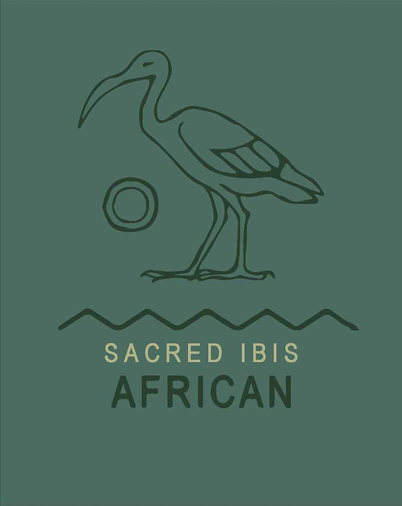 Camiseta Sacred Ibis
