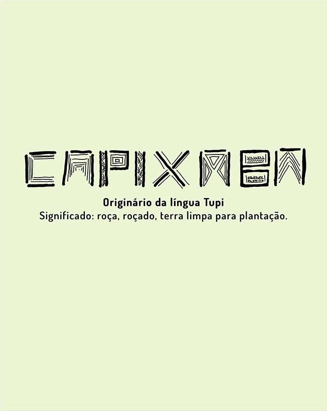 Regata Machao Capixaba Tupi