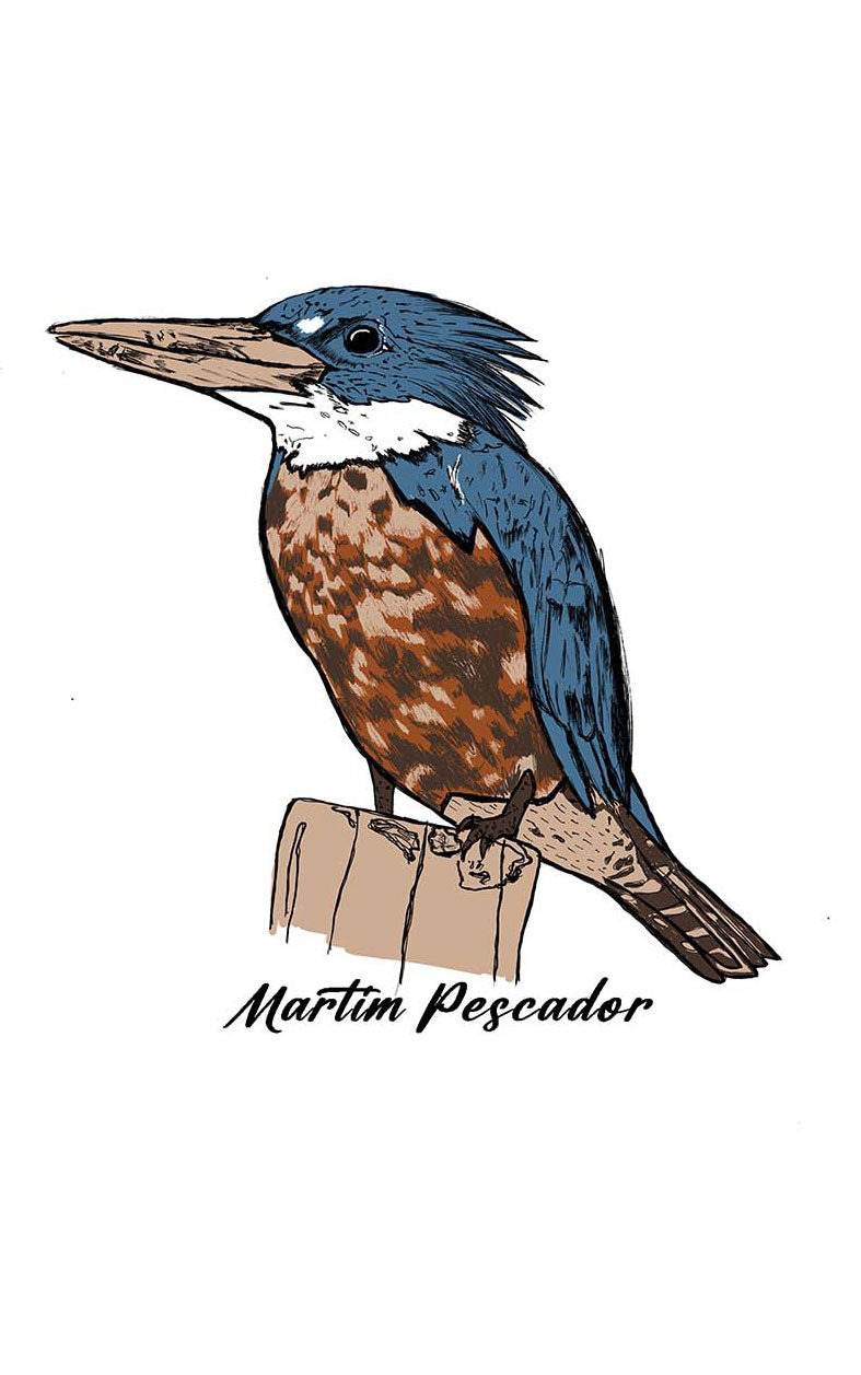Regata Martim Pescador