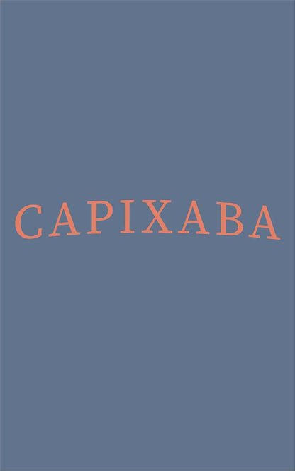 Camiseta Capixaba Azul Marinho