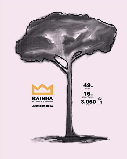 Regata Machao Matriarca