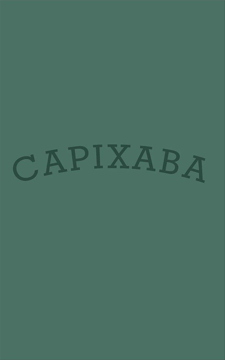 Camiseta Capixaba Arco