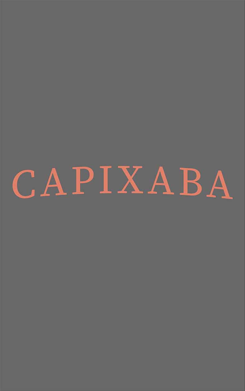 Camiseta Capixaba Chumbo