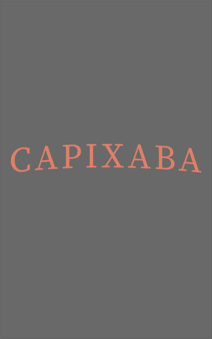 Camiseta Capixaba Chumbo