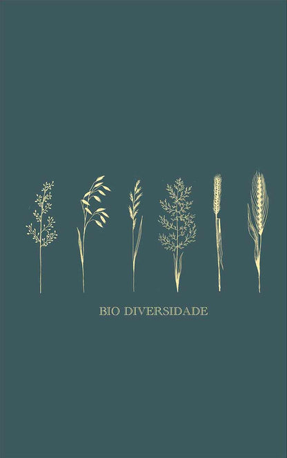 Regata Bio Diversidade Verde