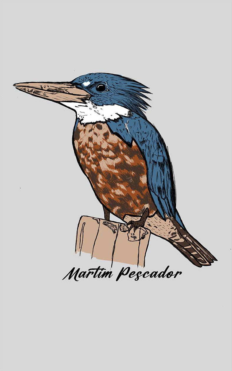 Camiseta Martim Pescador