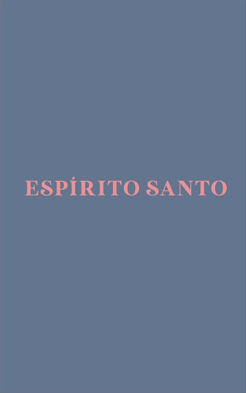 Camiseta Espírito Santo Azul Marinho