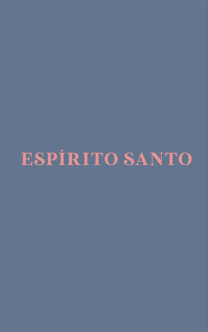 Camiseta Espírito Santo Azul Marinho