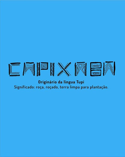 Regata Capixaba Tupi