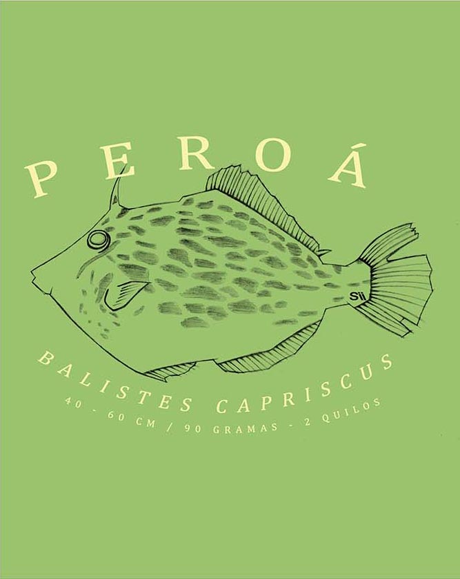 Regata Peroa