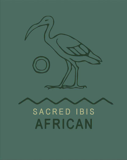 Camiseta Sacred Ibis