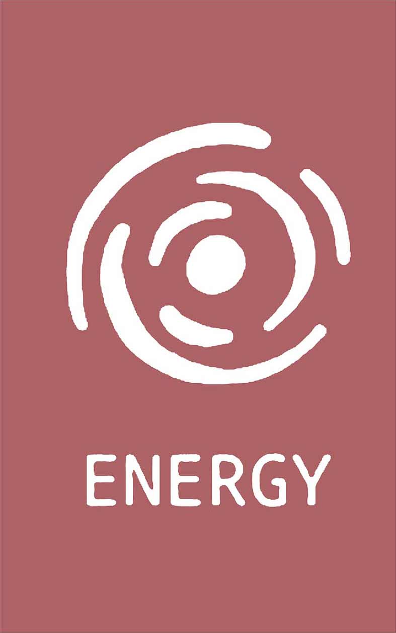 Camiseta Energy Bordo
