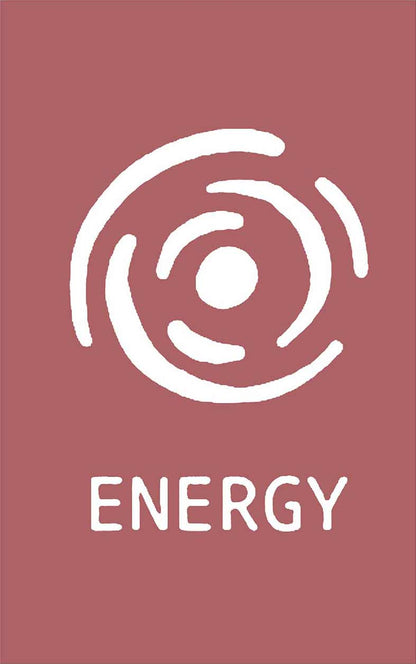 Camiseta Energy Bordo